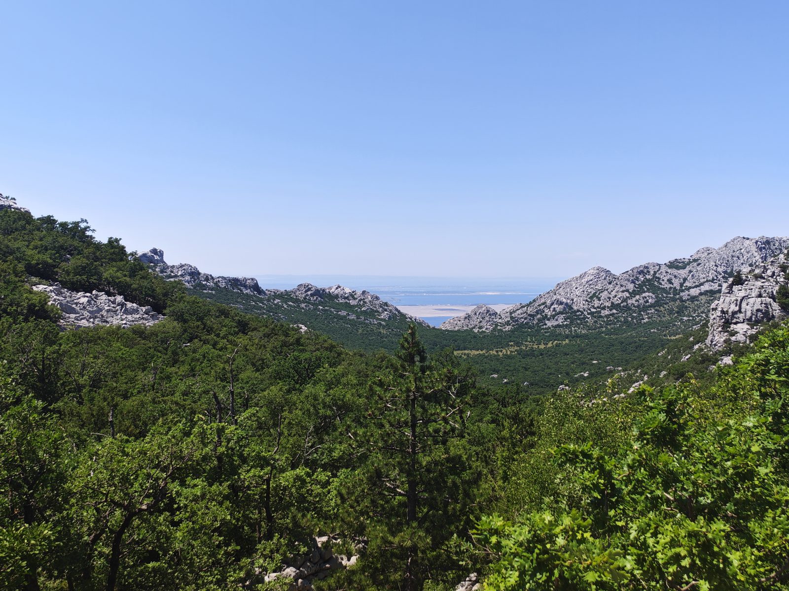 Bewaldete Hänge und Felsgipfel über dem Meer bei Veliko Rujno